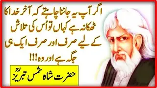 Hazrat Shah Shamas Tabraiz Urdu Quotes | ITEyes Studio