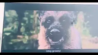 A Bottle On Dog&rsquo;s Snout Sound Design 