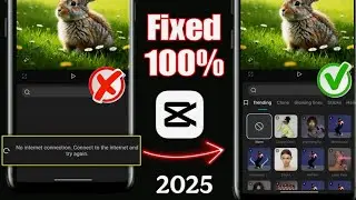 capcut no internet connection connect to the internet and try again | capcut no internet connection