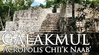 Acrópolis Chii'k Naab', Zona Arqueológica Calakmul, Campeche