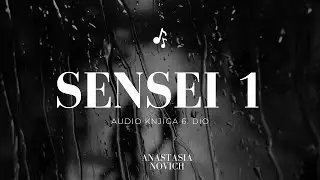 Sensei 1 audio knjiga 6/11