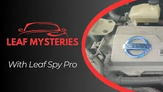 Scanning a Nissan Leaf with OBD2 connector