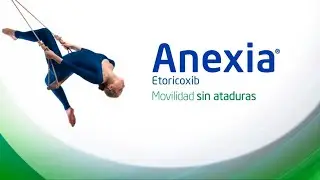 Anexia