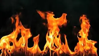 Shawn Phoenix theme