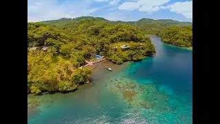 Lembeh Resort - Sulawesi