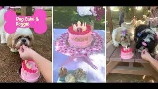 Pawsome Pastel  Princess Pawty