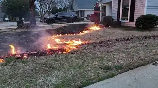 What are the benefits of burning bermudagrass.