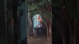 c'mon doors (don't cha love her madly doors
