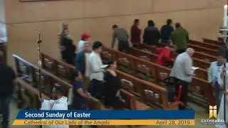 Second Sunday of Easter  |  Sunday Mass at the Cathedral (2019)