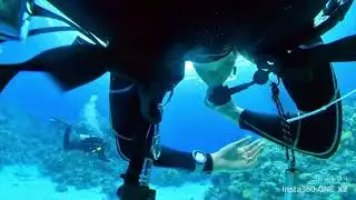 First Person View Scuba Diving Red Sea Coral Gardens 2023 Scuba Vlog 4k - Egypt