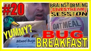 BRAiNStORMing SESSIONS #20 - CHIT-CHAT & MIXED BUG OATMEAL ! #streamyard #live #discussion