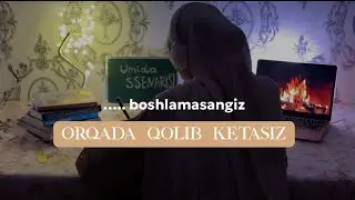 Boshqalar faqat Instagram yuritayotganda, qo&lsquo;shimcha strategiya qiling | Umida Ssenarist 