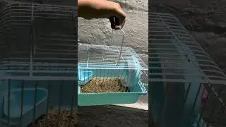 Portable Hamster & Mice Travel Cage &ndash; Just ₹400!