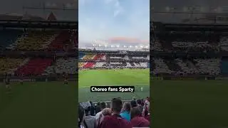Choreo Sparta 🟦🟨🟥#fotbal #spartapraha #chanceliga #praha #acs #acsparta  #spartaprague