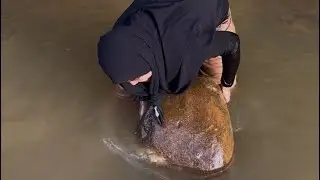 wow,,😱😱!! Finding Gold in River Sand?! Nature's Treasure!💰 februari 2025⚒️ 