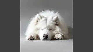 Closed Eyes, Open Time