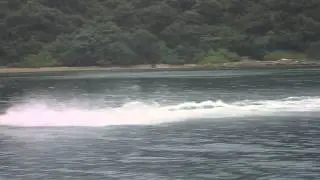 SaM Wakeboard 2014