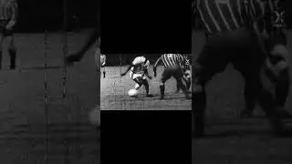 Pele documentary? (idk if there is one)#shorts #fyp #football #ronaldo #capcut
