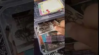 Journaling 🖋️