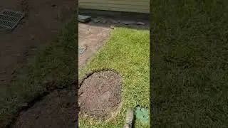 Finshed Grade and Sod with Sump Pump #sumppump #construction #drainage #drainsystem