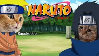 CAT MEMES:Naruto