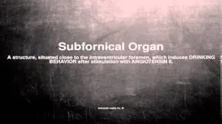 Medical vocabulary: What does Subfornical Organ mean