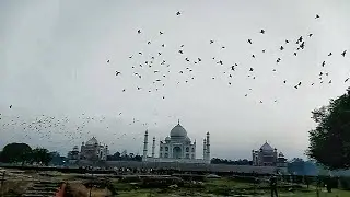 Taj Mahal view point Mehtab bagh