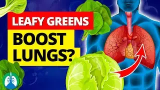 Eat More Leafy Green Vegetables to BOOST Your Lungs 🥬