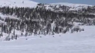 Newfoundland snowmobile video