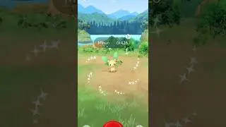 Pokemon go catch first time shiny minun #pokemongo #shortvideo #viralvideo