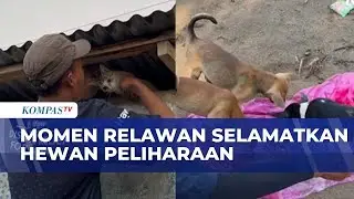 Selamatkan Hewan Peliharaan, Relawan dari Animal Rescue Terobos Lokasi Banjir & Longsor di Sumut