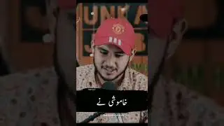 Kise Ny Sawal Pich Kar Rula Dia Whtsapp Status #whatsappstatus #halqaedarwaish #poetry