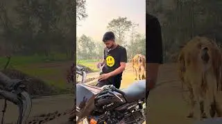 Gao Balo Ka Valentineday 😂 #shorts #valentinesday #funny #funnyvideo #comedy #shortsfeed