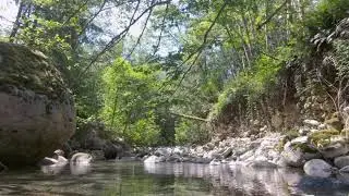 SOUND LOCKER | Berg's Landing River and Nature Sounds, ASMR
