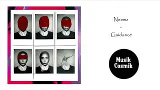 Neemz - Guidance