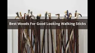 Best Woods For Good Looking Walking Sticks | RebelStick.com