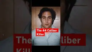 The 44 Caliber Killer. #davidberkowitz #story #storytime #truecrimecommunity #truecrime #SonOfSam