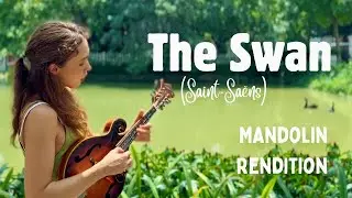 The Swan (Saint-Sa&euml;ns) - Mandolin rendition by Sonya Firsova