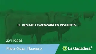 Remate de Hacienda Coop. LA GANADERA - Feria Gral. Ram&iacute;rez - Jueves 20 de Noviembre 2025.