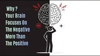 Why Your Brain Focuses on the Negative (And How to Fix It)
