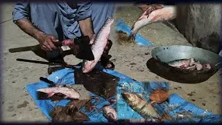 How to clean a fish before cooking it |مچھلی صاف کر کے پیس بنانے کا آسان طریقہ | #viral #fishing 