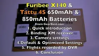 FuriBee X140 & Tattu 4S Batteries - Review & Flights - Part 1/2