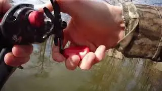 Me catching a bass