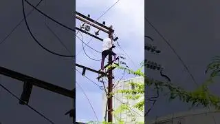 Electrician status || Wireman status || Wireman video # #electrician #wireman #shorts