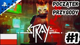 Stray PL #1 - Kicia w Wielkim Mieście - Gameplay PL (PS5)