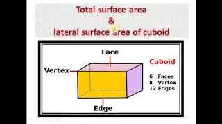 Area (TSA & LSA) OF CUBOID.