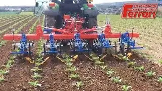 Inter-row Weeder - Ferrari Remolite