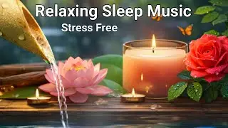 Calm Mind Music | Stress Free Sleep | Relaxing Night Sounds