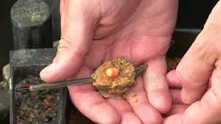 Guru How To Load The Perfect Hybrid Feeder; Steve Ringer's Guide   Guru Bitesize #057
