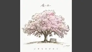 Kimagure Romantic -2024 Street Live Hyogo version-